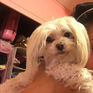 Meet your Posher, Penny